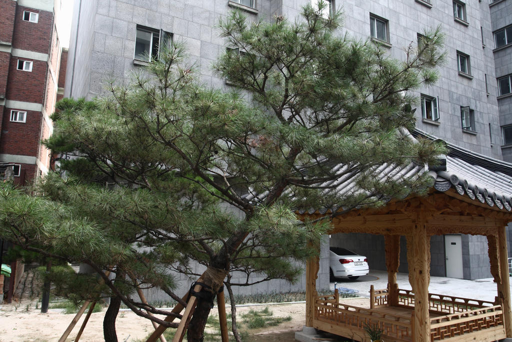 Fortune Hostel Jongno Сеул Екстер'єр фото